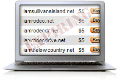 Expiring Domain Names